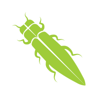 emerald ash borer icon