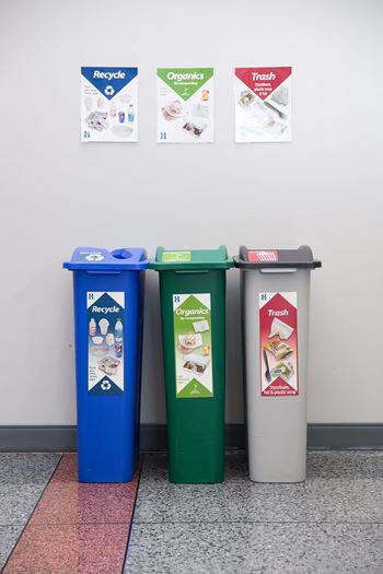 ideal recycling, organics, and trash bin setup with each bin labeled