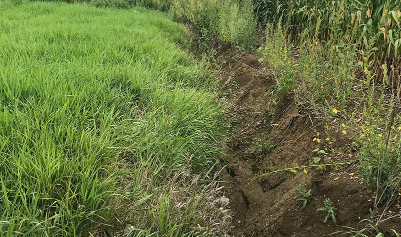 field erosion outside