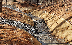 Completed natural resources project with a stream and stream bank that has been stabilized with rock and vegetation