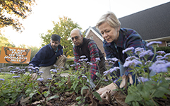 Three people working in a garden with flowers