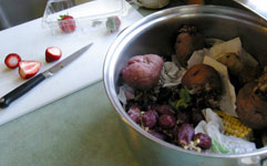 organics recycling at home