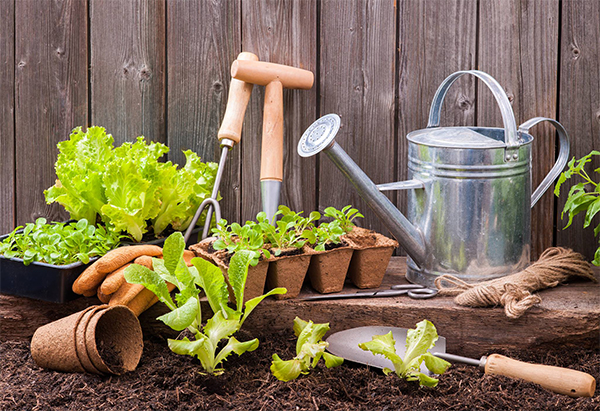 gardening supplies and potted plants in front of a wooden fence