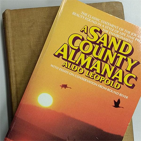 close-up of a paperback and a old hardcover book