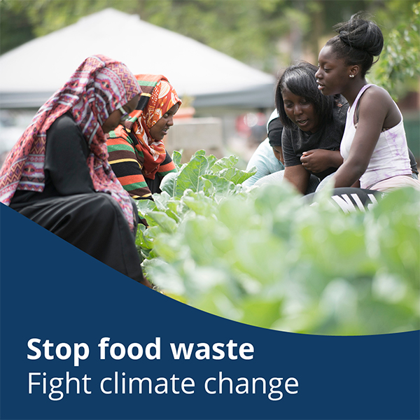 four women tending to crops in a garden