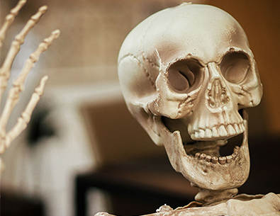 plastic skeleton