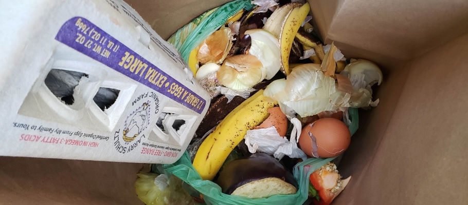 Paper bag filled with organic food waste