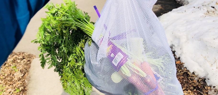Vegetables in fabric mesh bag from grocery store