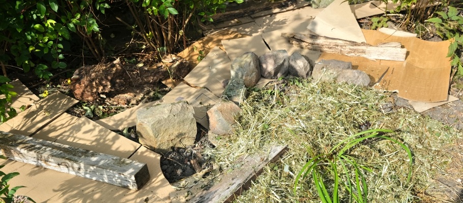 Cardboard laid flat in garden bed to suppress weeds