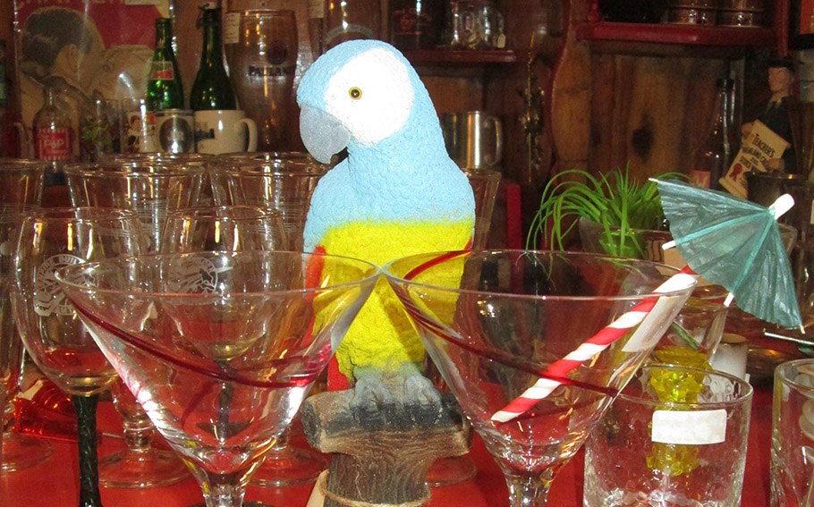 Parrot with margarita glasses