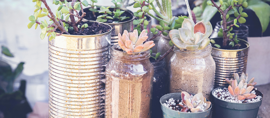 jars and planters made out of reused items
