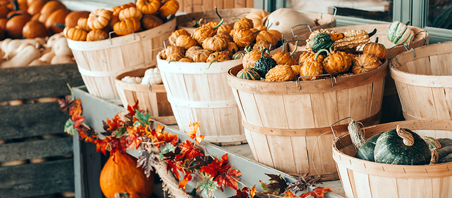Wooden baskets of gourds and pumpkins