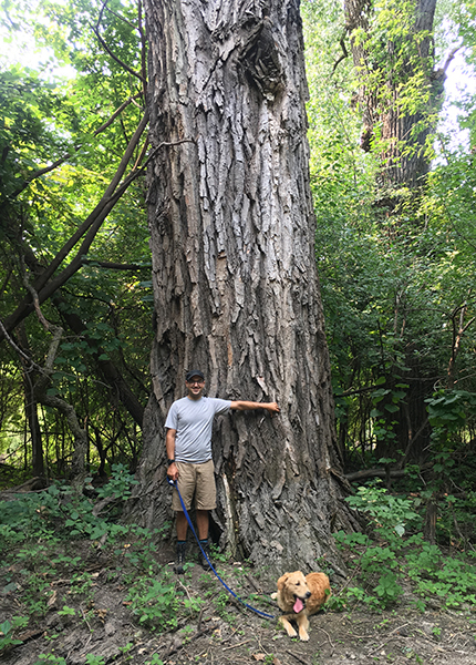 Man and dog standing next to huge tree