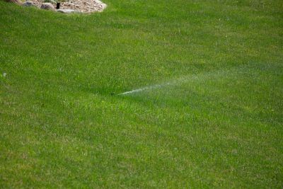 Water sprinkler on a green lawn