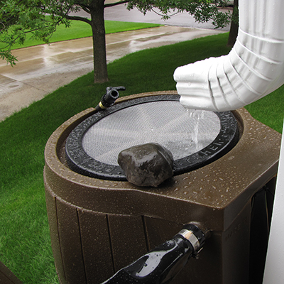 Downspout with rain flowing into rain barrel