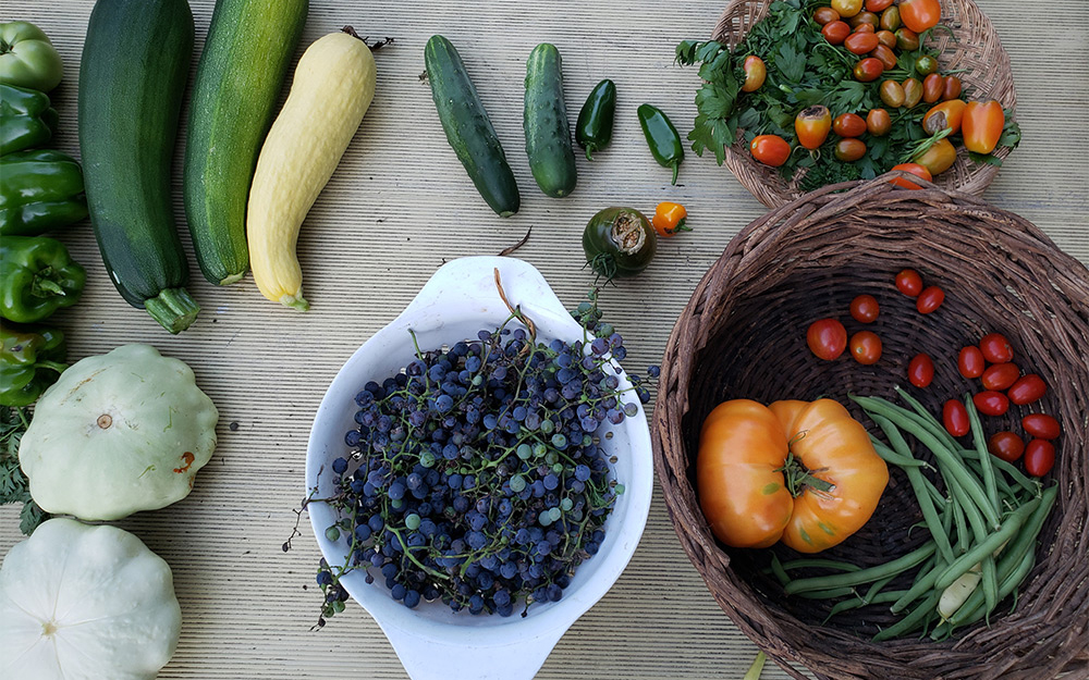 fresh vegetables