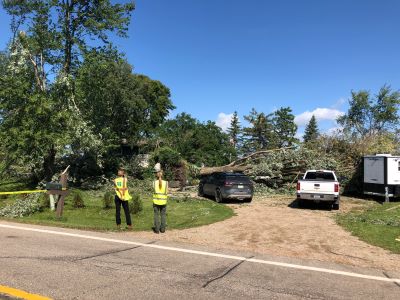 Hennepin County employees assess damage from a tornado including fallen trees