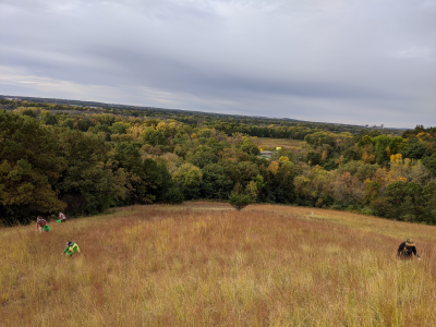 Distant people collecting seed in a prairie