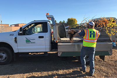 County employee wearing safety vest loading trees into a City of Champlin truck