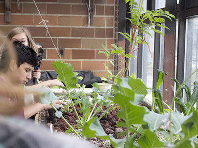 Kids tending to plants in greenhouse