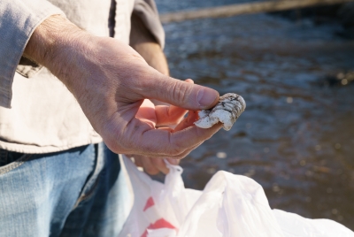 Close up of hand holding packing peanut