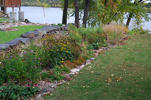 Rain garden full of colorful flowers next to lake