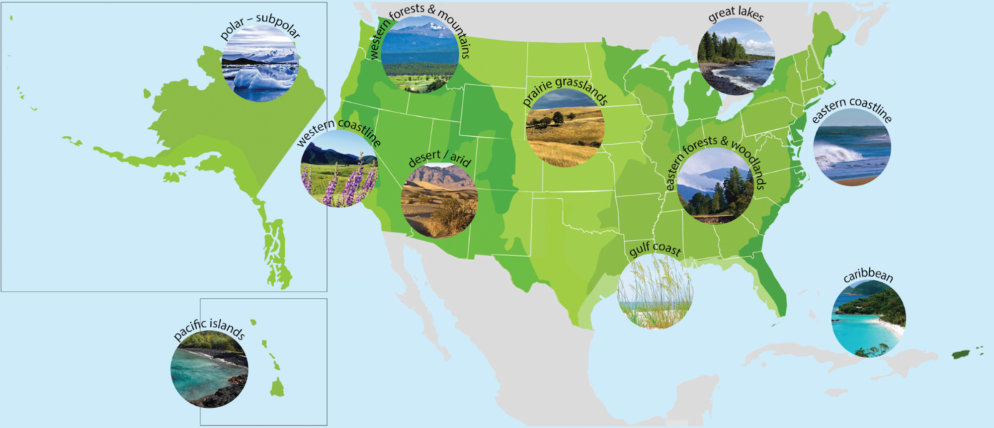 Map highlight different ecosystems in the United States