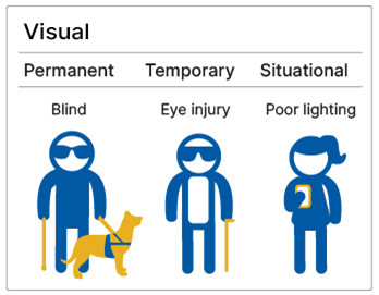Three people with vision impairements.  The person who is blind has a permanent disability.  The person who has difficulty seeing due to pink eye has a temporary disability.  The person having difficulty reading their phone due to too much or sunlight has a situational limitation impacting their seeing ability.   (**sidenote - the distracted driver is not accurate with the image, which is why I changed it)