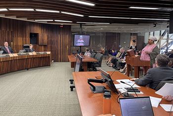 woman talking to the hennepin county board