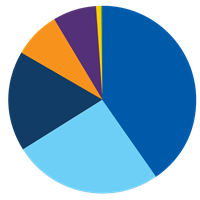 pie chart icon
