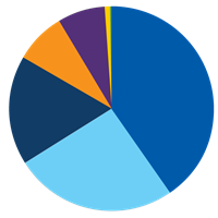 pie chart icon